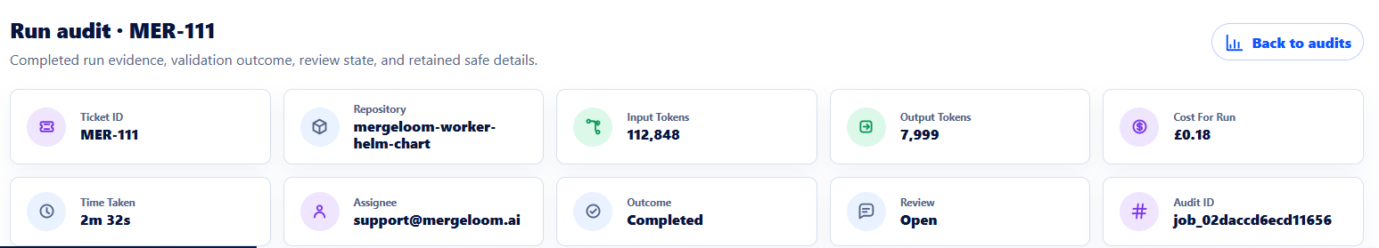 Run audit cards showing overall, token, cost, and timing details.